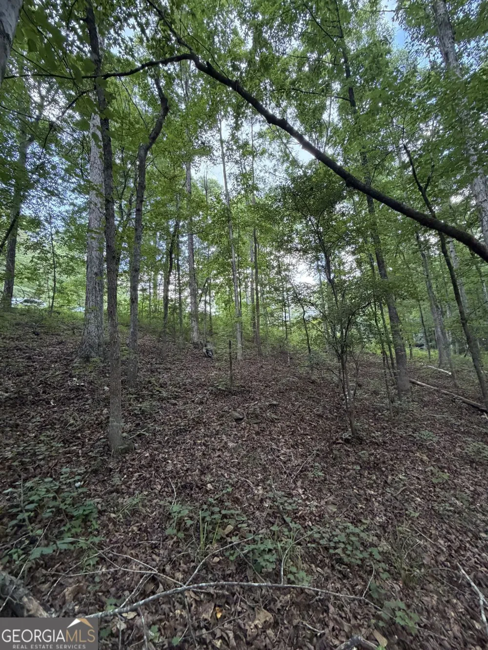 0 SERENITY Cataula, GA 31804
