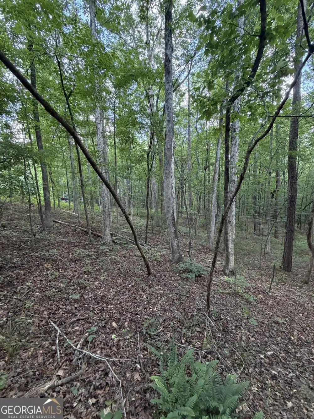 0 SERENITY Cataula, GA 31804