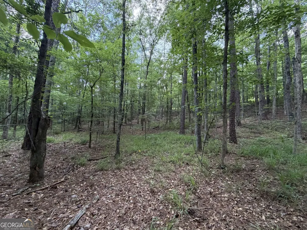 0 SERENITY Cataula, GA 31804