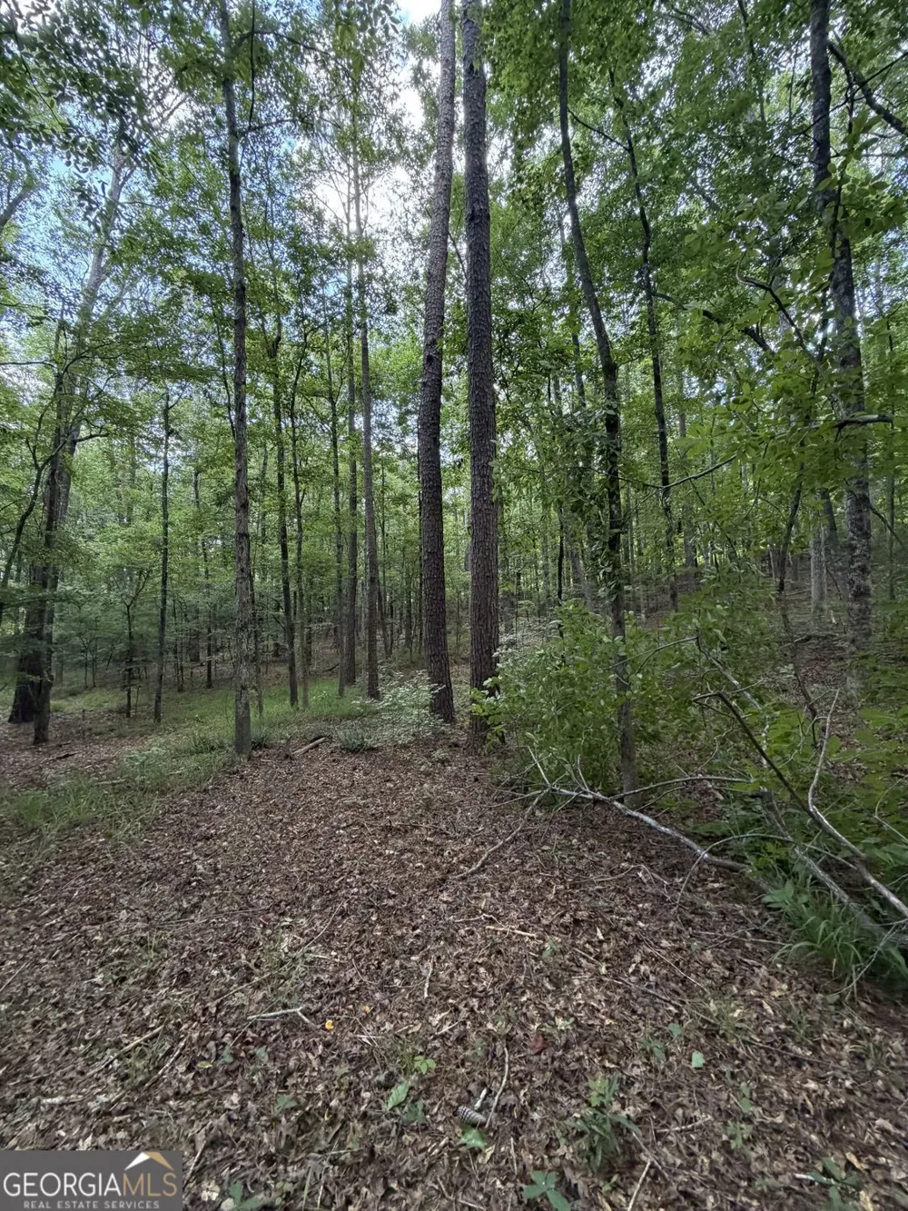 0 SERENITY Cataula, GA 31804