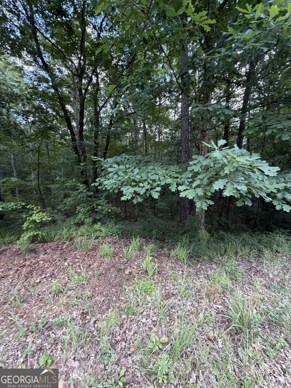 0 SERENITY Cataula, GA 31804