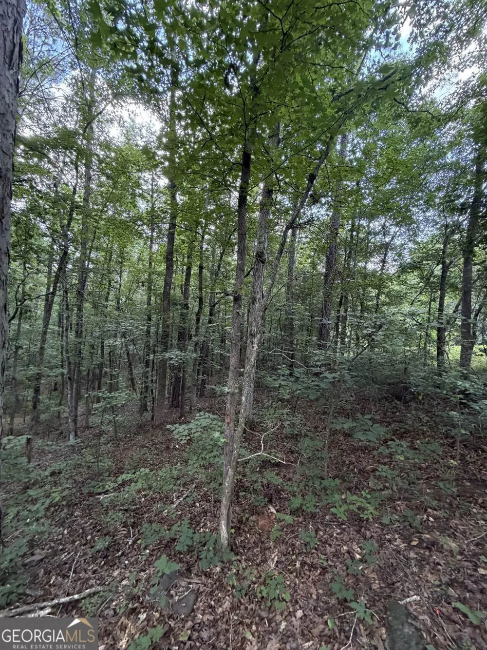 0 SERENITY Cataula, GA 31804