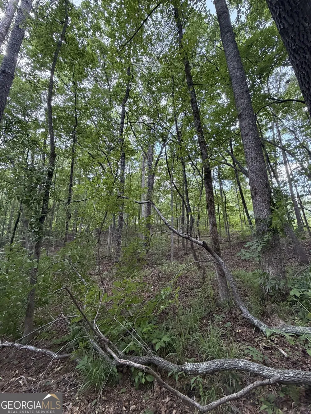 0 SERENITY Cataula, GA 31804