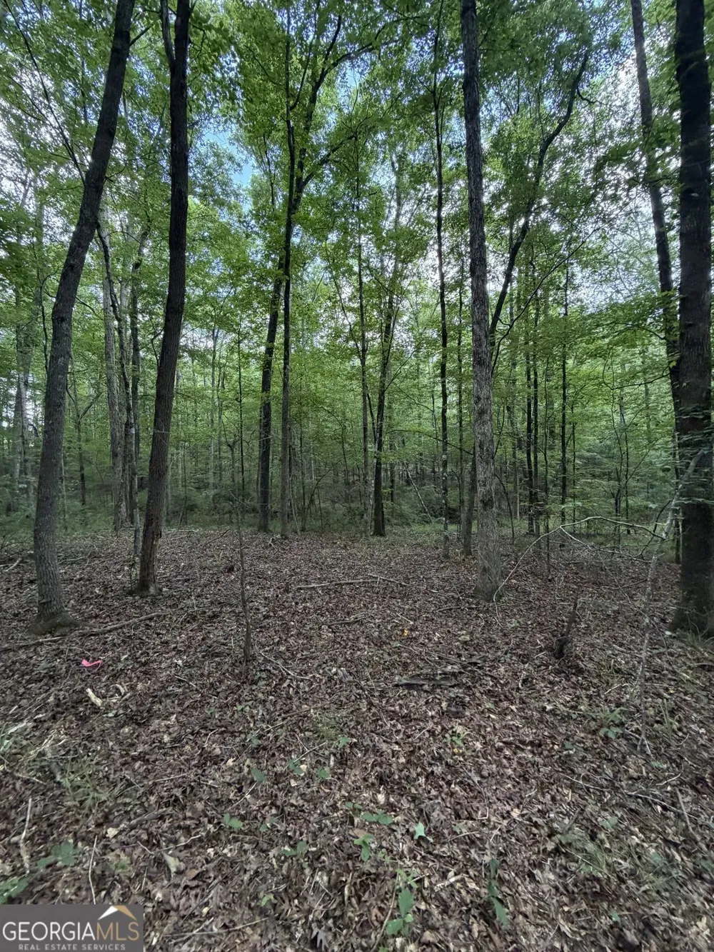 0 SERENITY Cataula, GA 31804