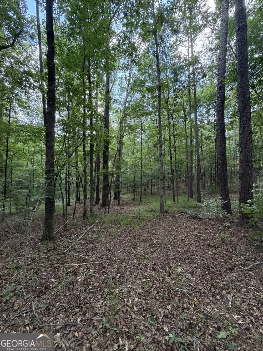 0 SERENITY Cataula, GA 31804