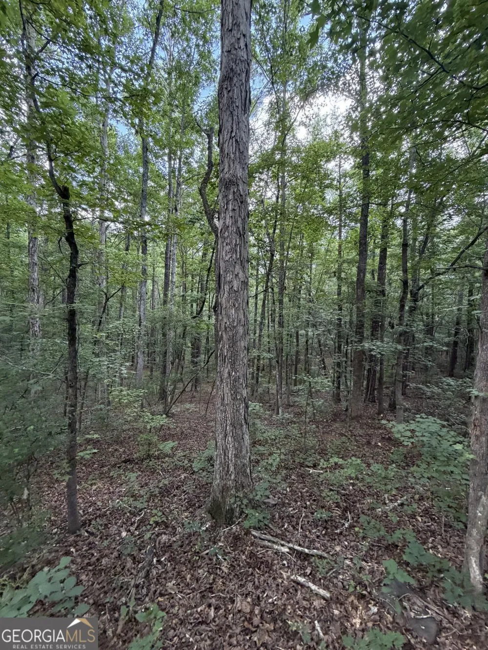 0 SERENITY Cataula, GA 31804