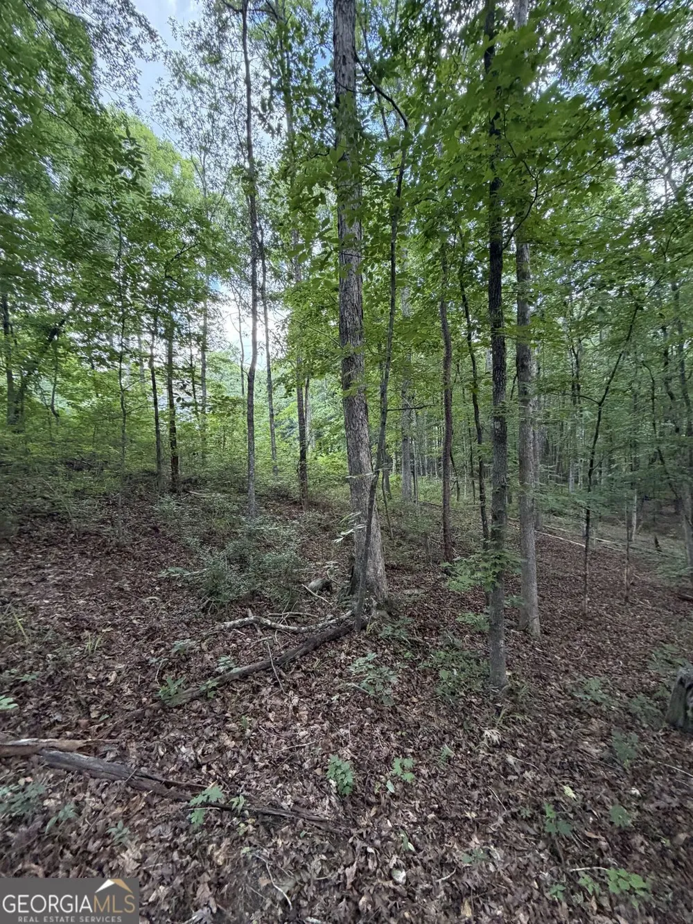 0 SERENITY Cataula, GA 31804