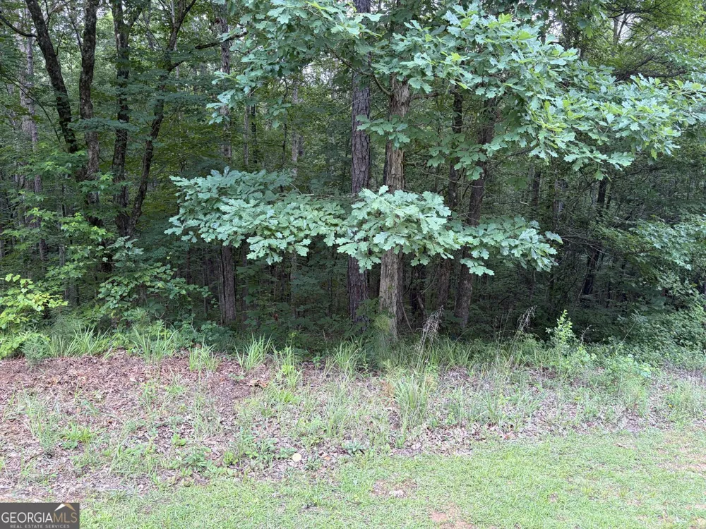 0 SERENITY Cataula, GA 31804