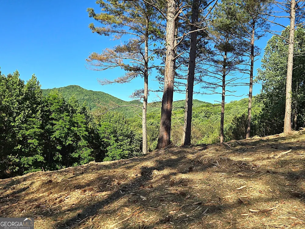 LOT 20 Sunset View Blairsville, GA 30512