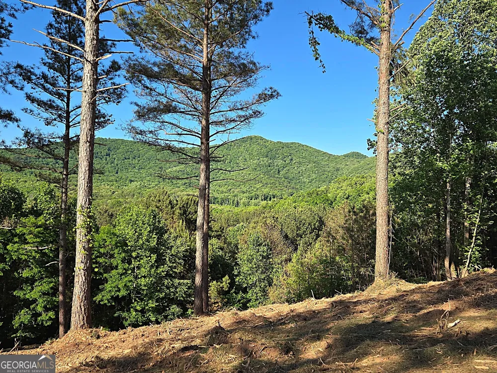 LOT 20 Sunset View Blairsville, GA 30512