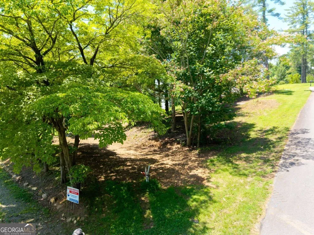 LOT #3 Tranquil Pointe LN Hiawassee, GA 30546