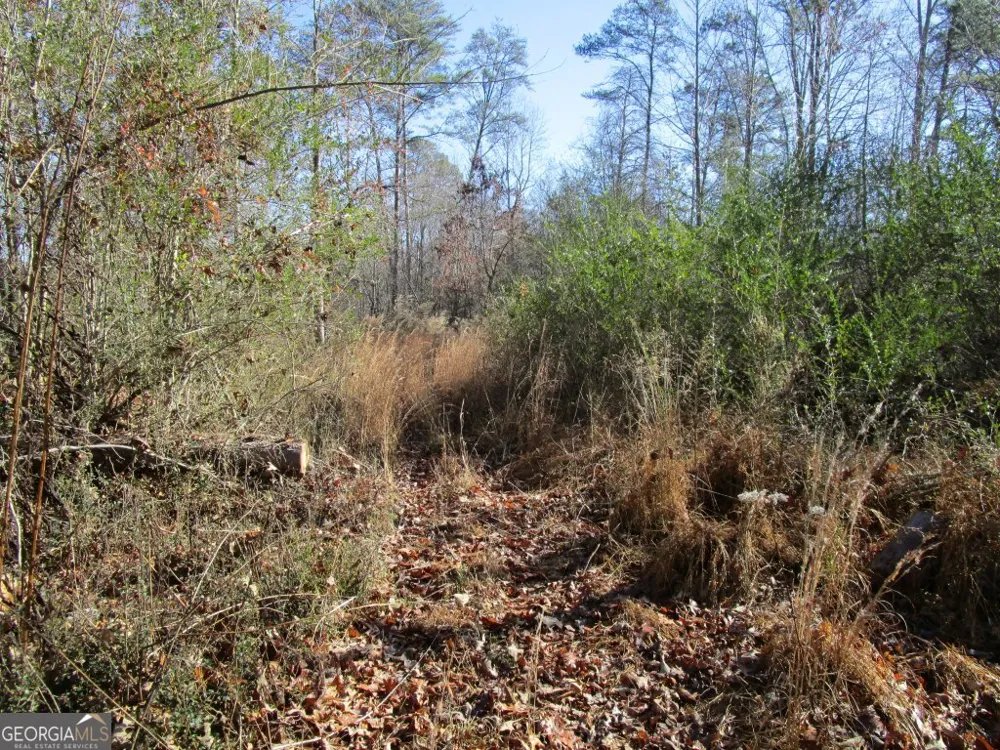 0 Stonehedge DR Cleveland, GA 30528