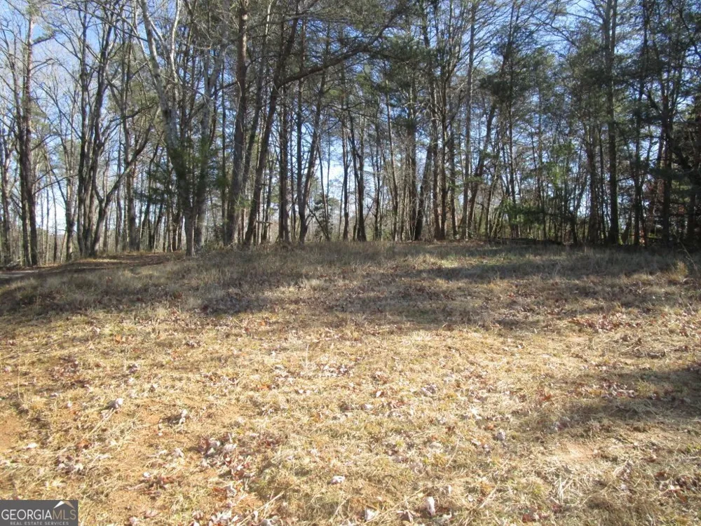 0 Stonehedge DR Cleveland, GA 30528
