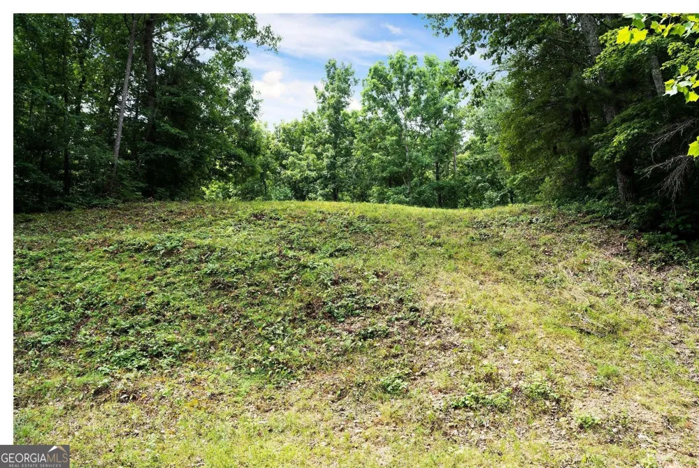 0 Hanes Oakman, GA 30732