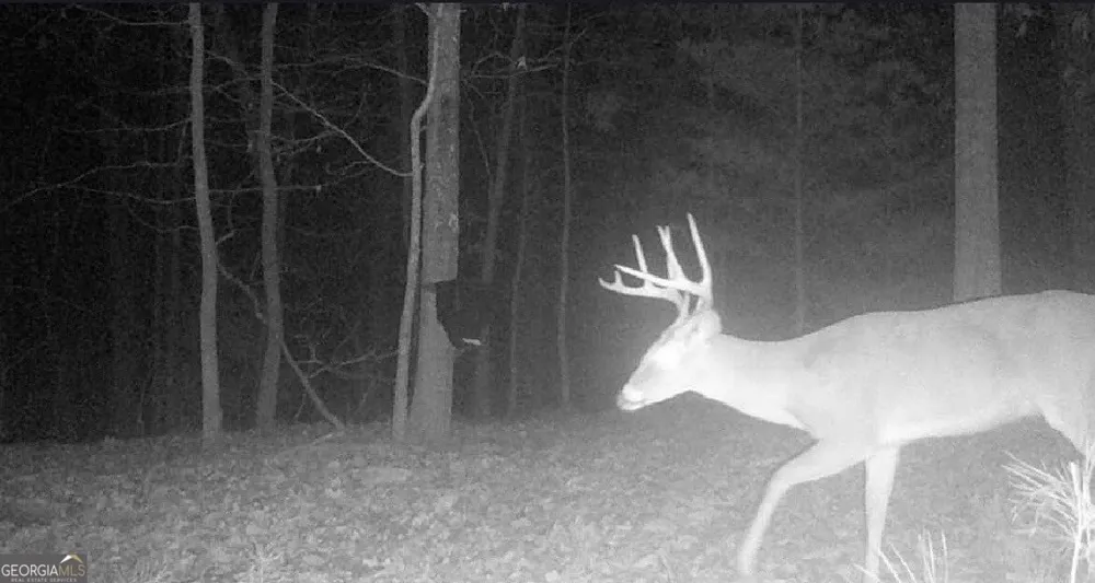 0 Hanes Oakman, GA 30732