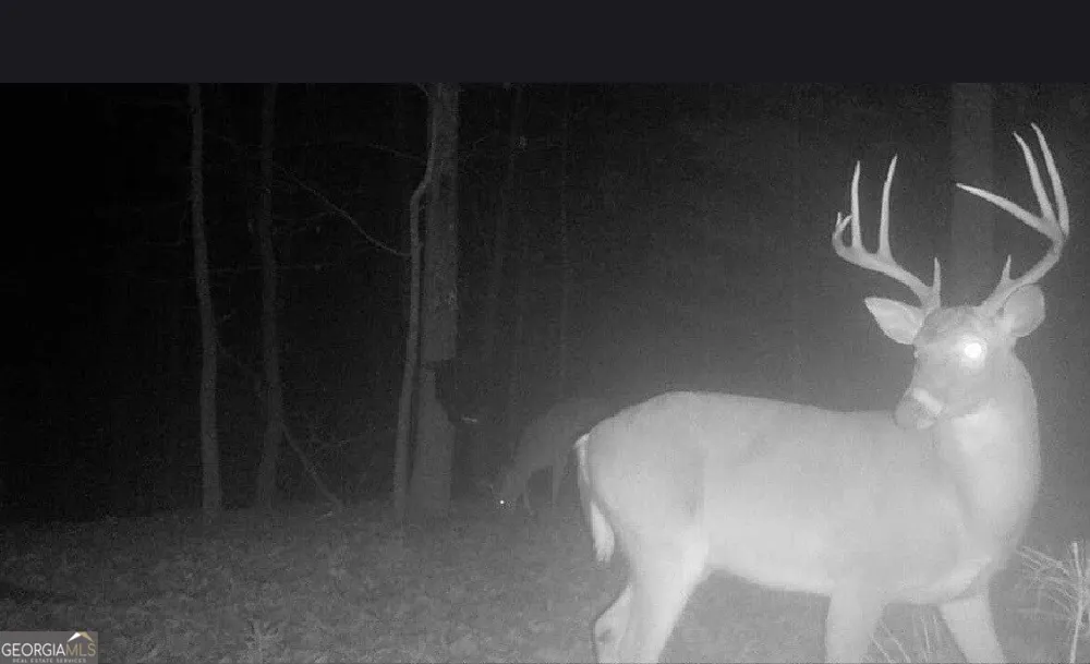 0 Hanes Oakman, GA 30732
