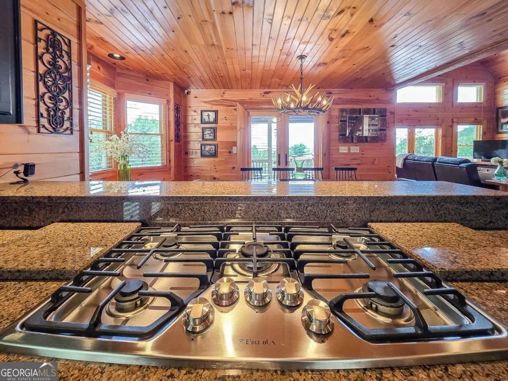965 My Mountain RD Morganton, GA 30560