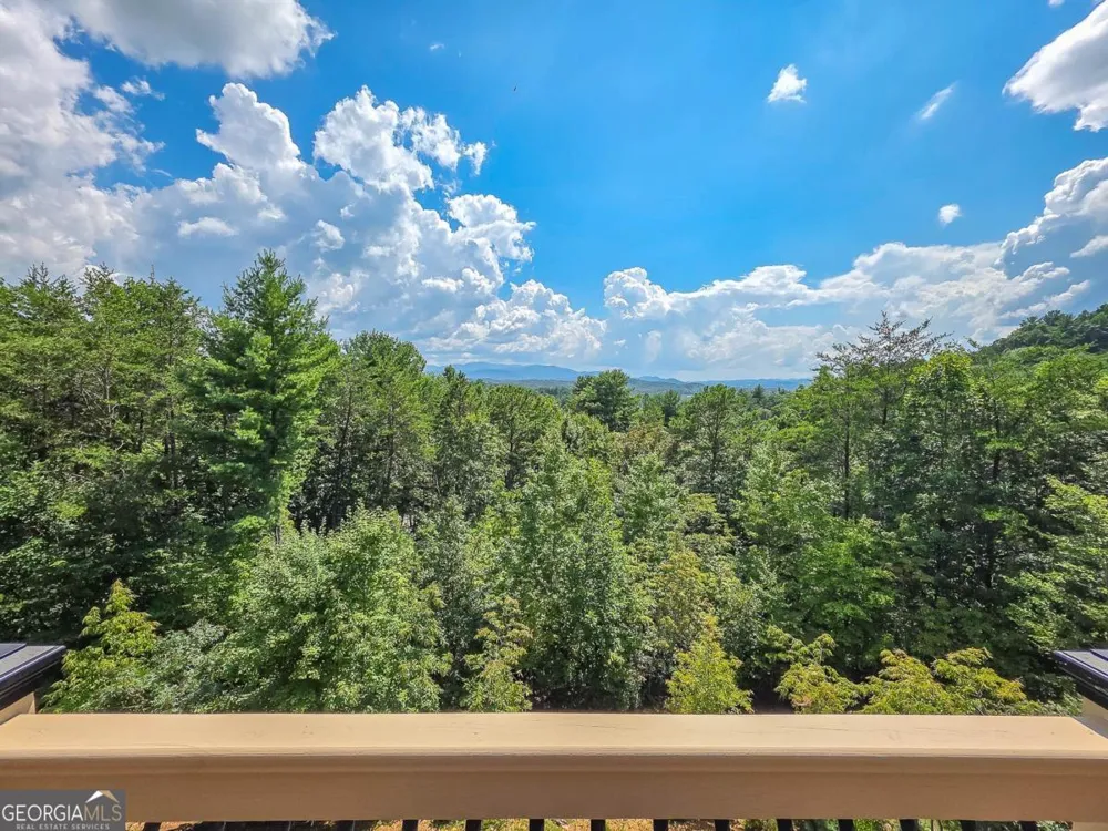 965 My Mountain RD Morganton, GA 30560