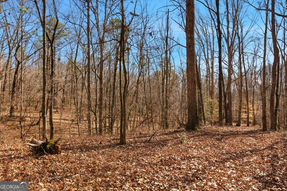 0 Davis RD Eastanollee, GA 30538