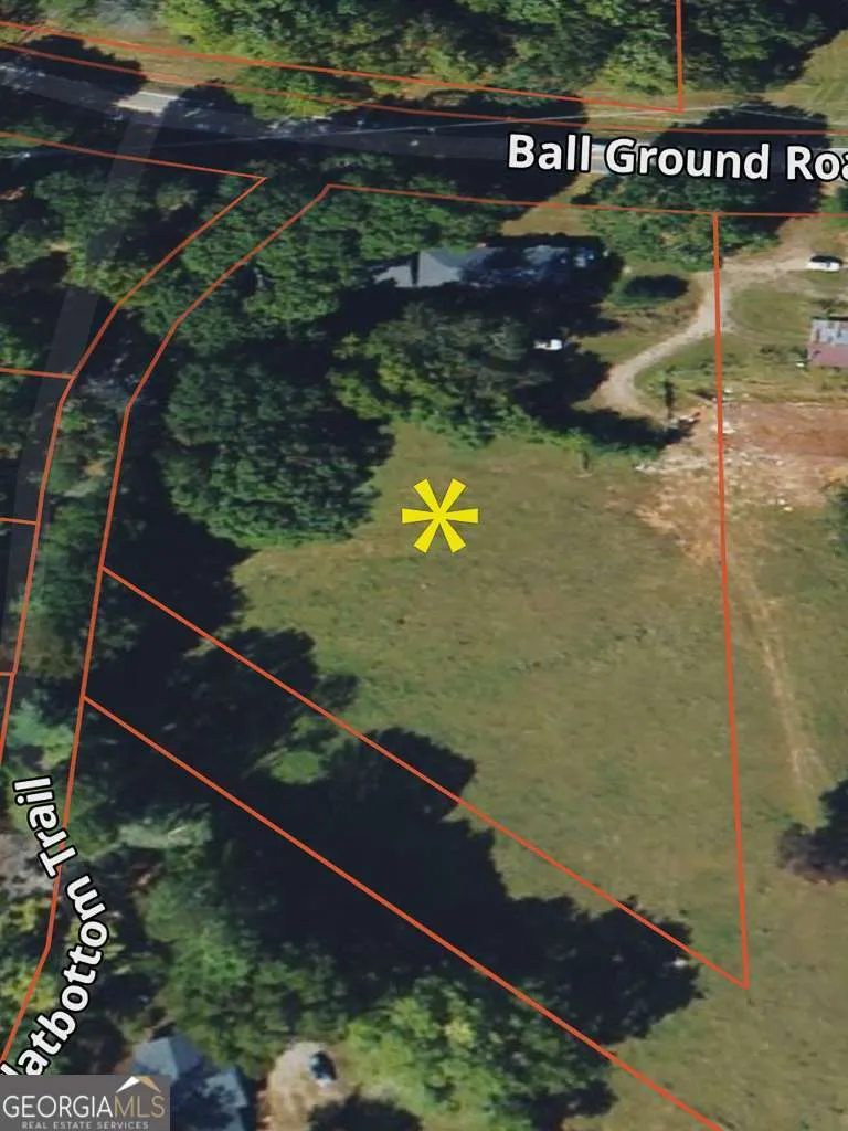 514 Ball Ground RD Ball Ground, GA 30107