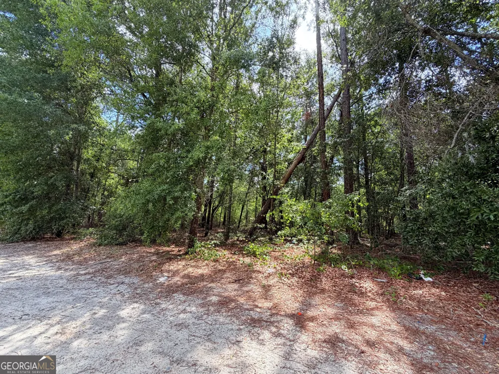 0 Lakeview DR Alamo, GA 30411