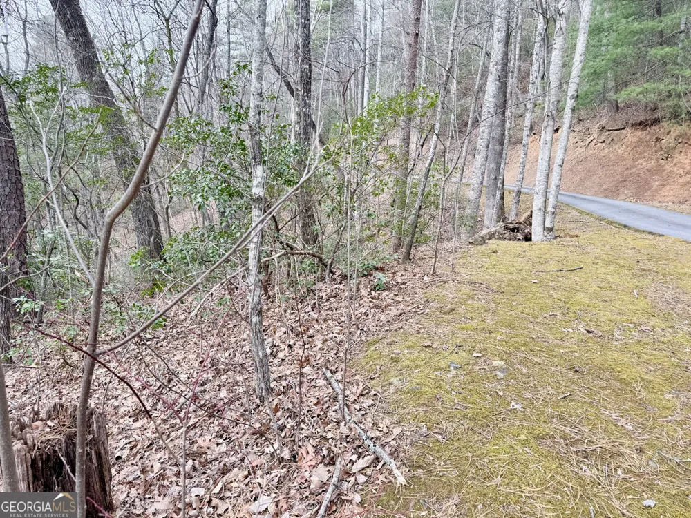 0 Monarch LN Clayton, GA 30525