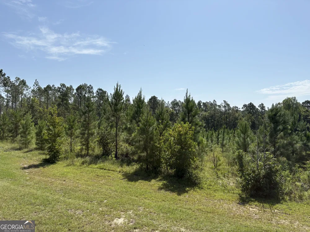 0 Dixon RD Dublin, GA 31021