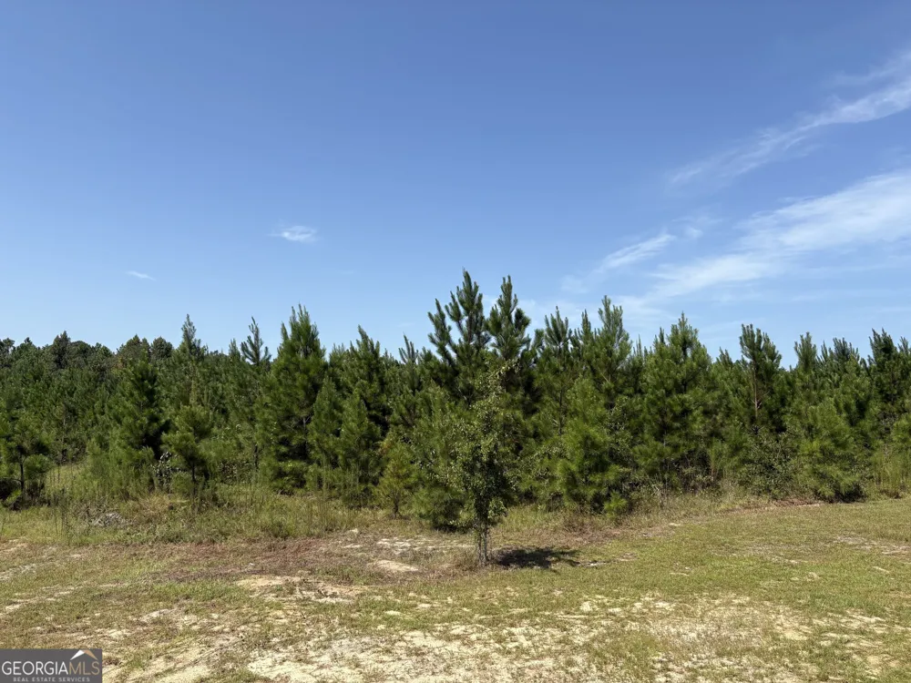 0 Dixon RD Dublin, GA 31021