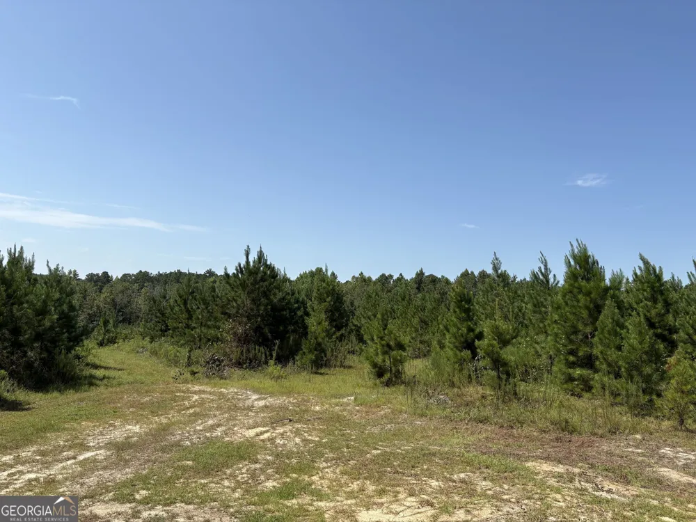 0 Dixon RD Dublin, GA 31021