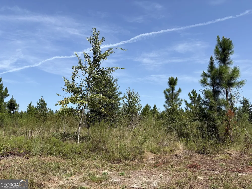 0 Dixon RD Dublin, GA 31021