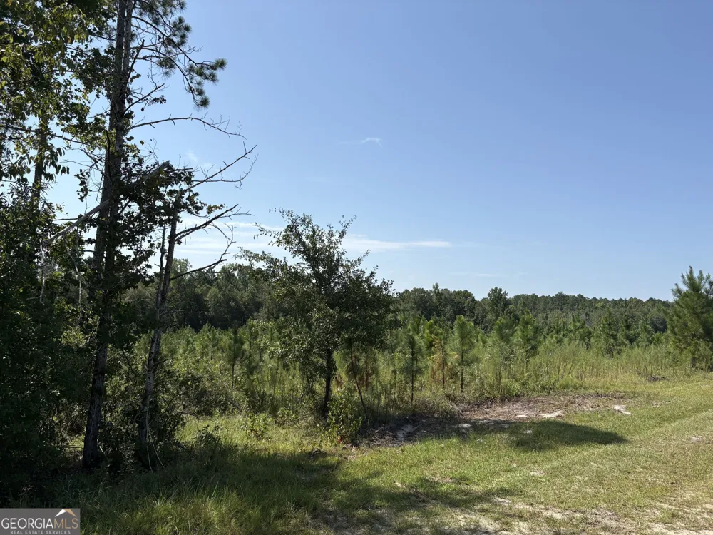 0 Dixon RD Dublin, GA 31021
