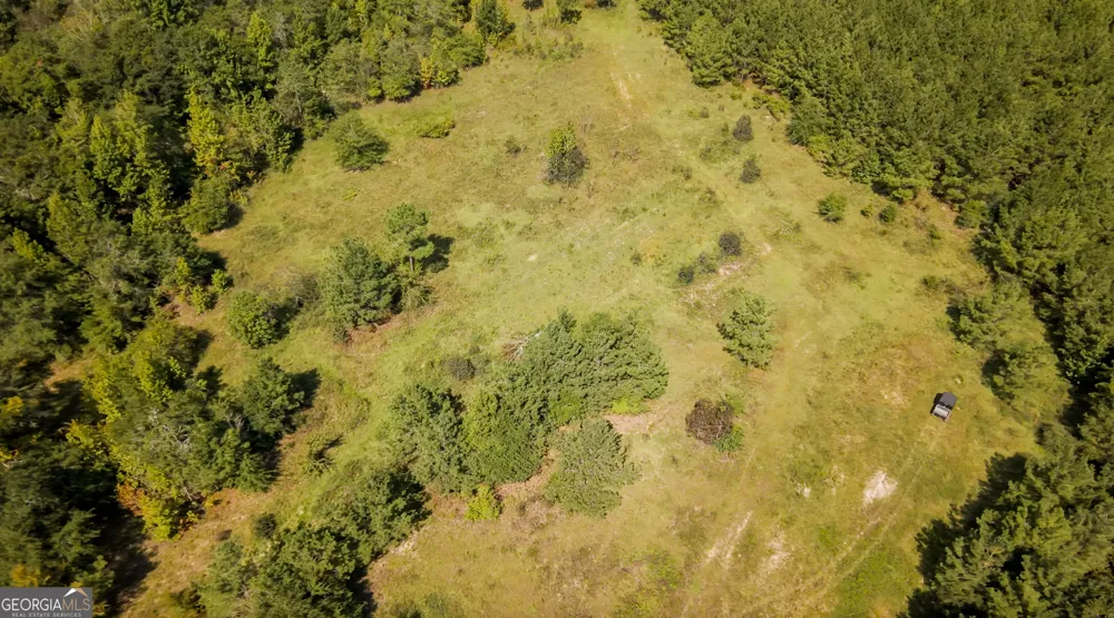 0 Buck Creek BYP Oglethorpe, GA 31068