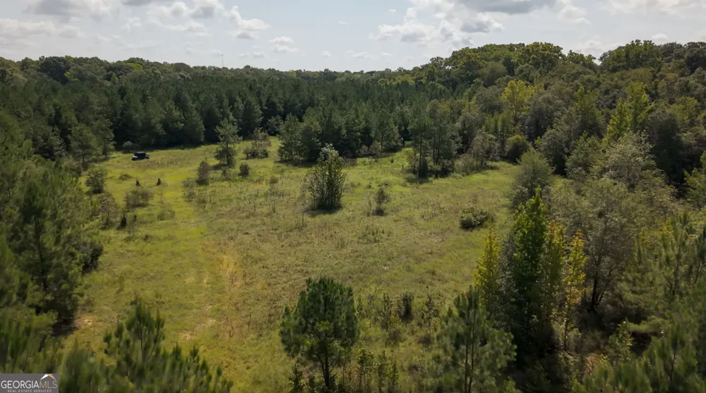 0 Buck Creek BYP Oglethorpe, GA 31068