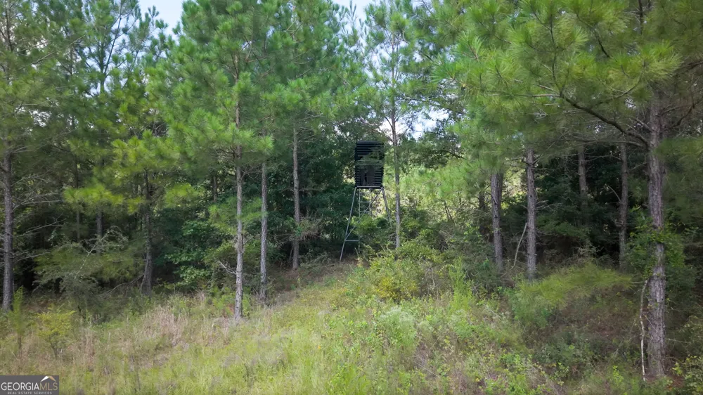 0 Buck Creek BYP Oglethorpe, GA 31068