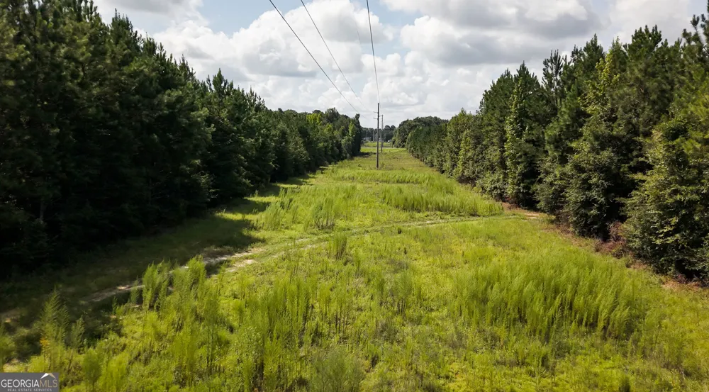 0 Buck Creek BYP Oglethorpe, GA 31068