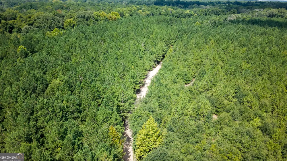 0 Buck Creek BYP Oglethorpe, GA 31068