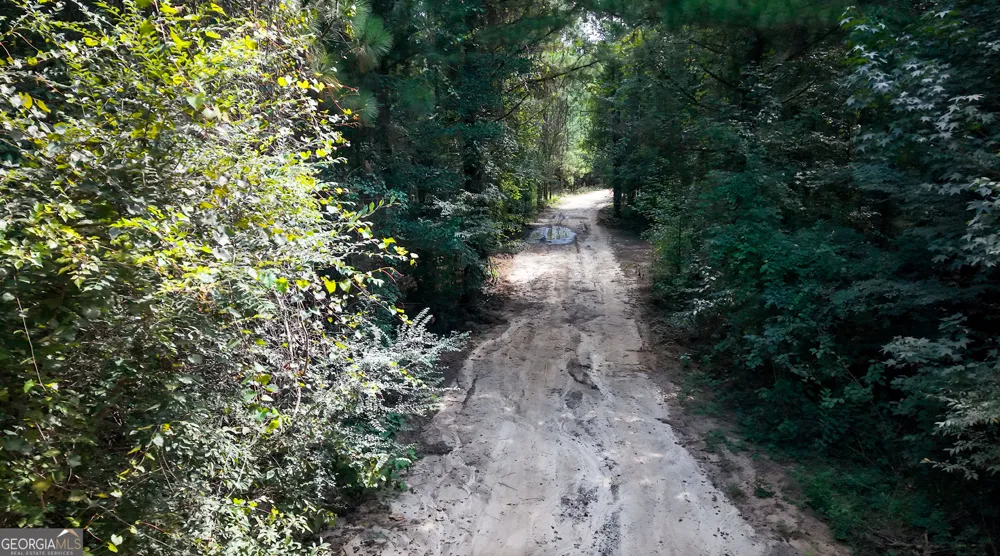 0 Buck Creek BYP Oglethorpe, GA 31068