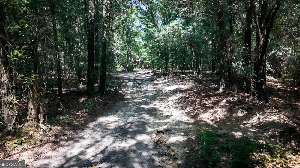 0 Buck Creek BYP Oglethorpe, GA 31068