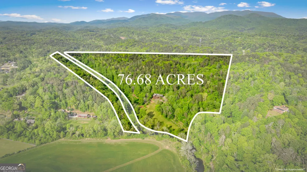 460 Wikle DR Ellijay, GA 30540