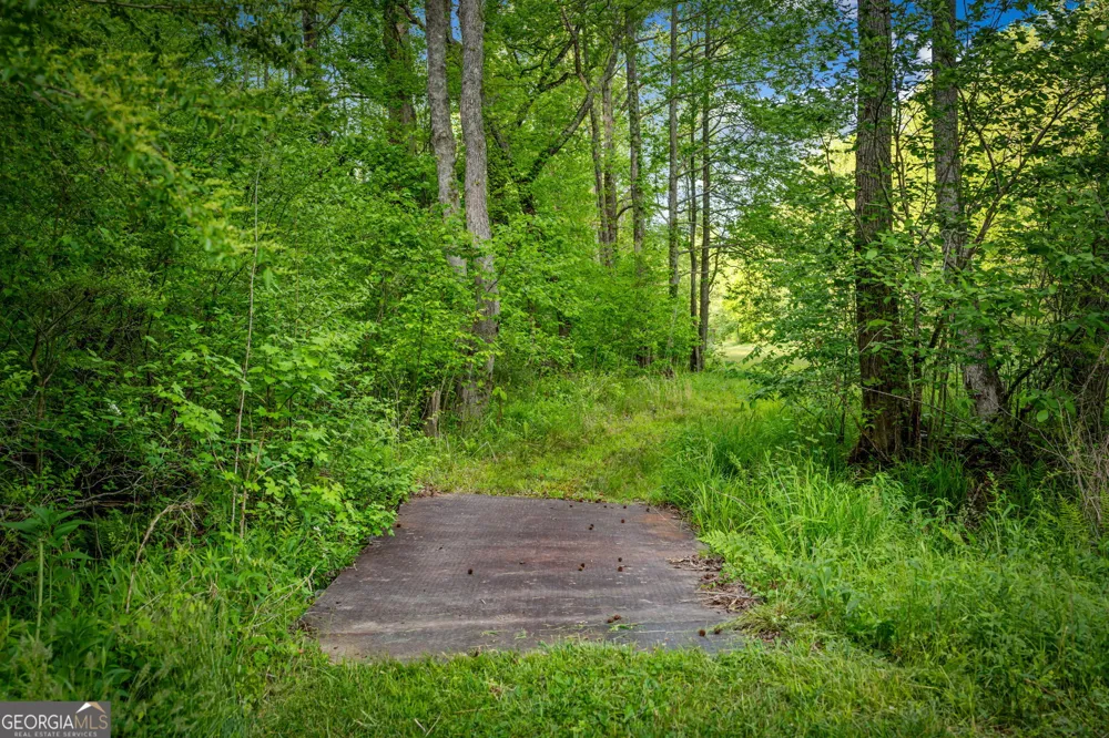 460 Wikle DR Ellijay, GA 30540