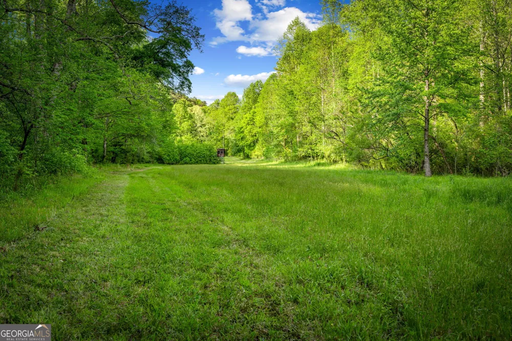 460 Wikle DR Ellijay, GA 30540