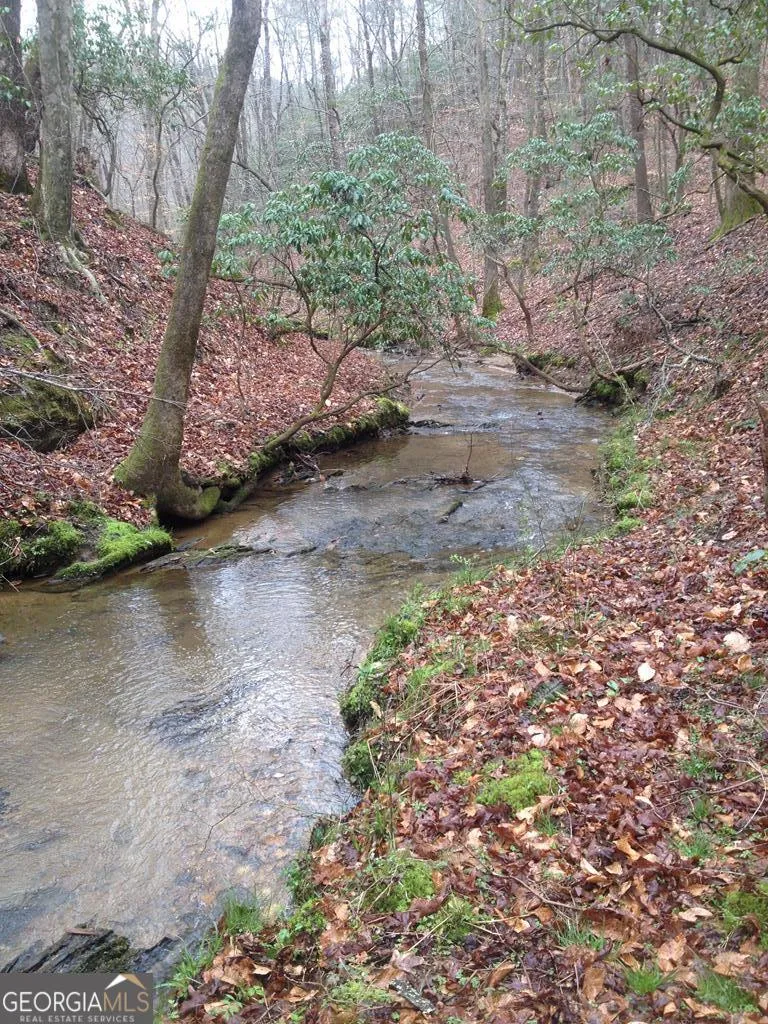460 Wikle DR Ellijay, GA 30540