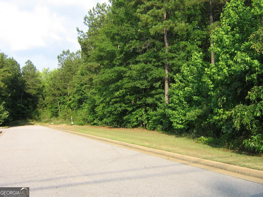 28.77 ACRES Davis RD LaGrange, GA 30241