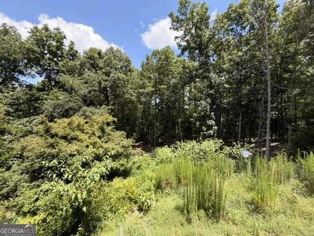 1657 Chubb RD SW Cave Spring, GA 30124