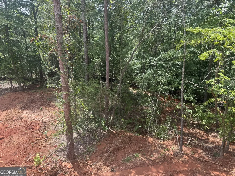 158 Blackberry CT Pendergrass, GA 30567