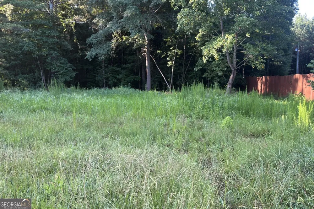 0 Tony DR Hartwell, GA 30643