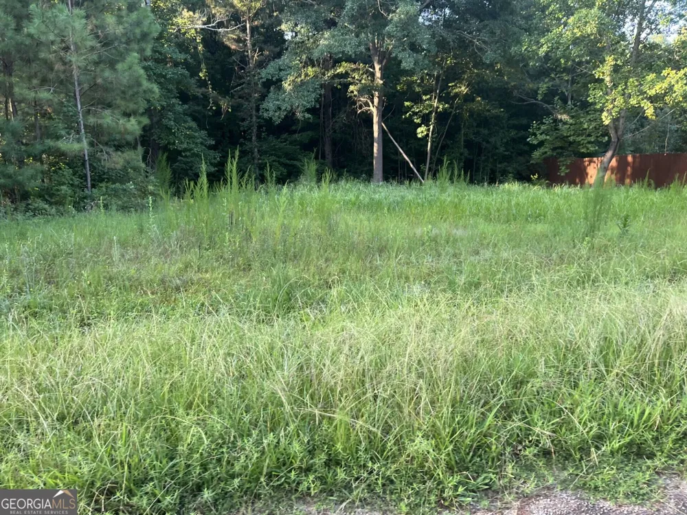 0 Tony DR Hartwell, GA 30643