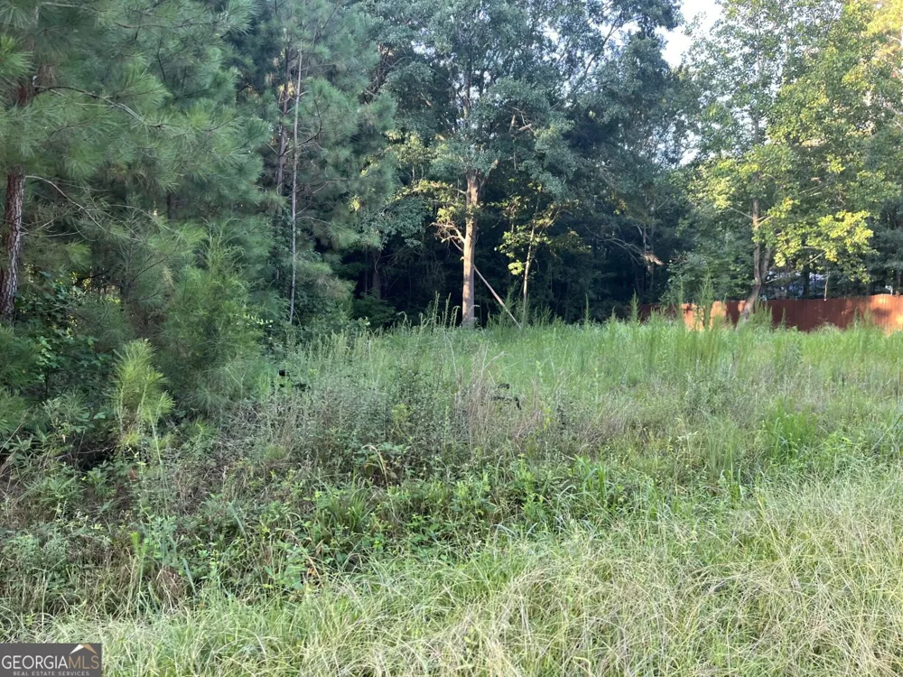 0 Tony DR Hartwell, GA 30643