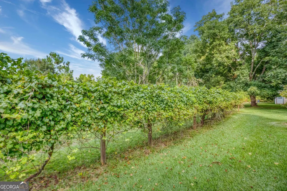2067 Cleveland RD Bogart, GA 30622