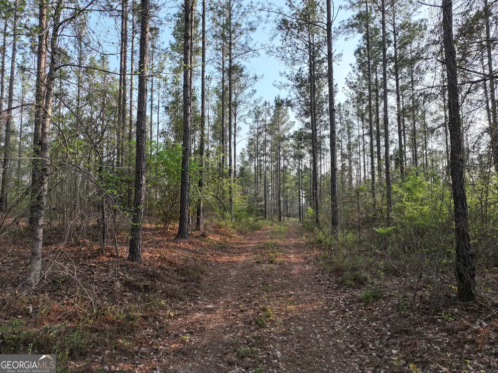 195 County Line RD Lumpkin, GA 31815
